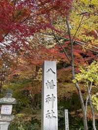 【La Collina近江八幡交通攻略＆散策體驗】如童話世界的夢幻建築、甜點與購物一次滿足！