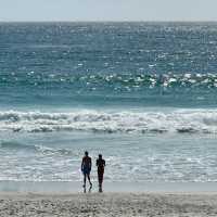 Find your peace where the ocean breeze meets timeless faith—Basilica in Carmel