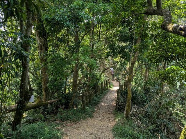 關子嶺大凍山，台南第一高峰小百岳健行