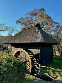 Discover the Charm of Oshino Hakkai in Spring