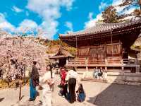 Discovering the Soul of Kyoto: A Journey Through Time and Tradition