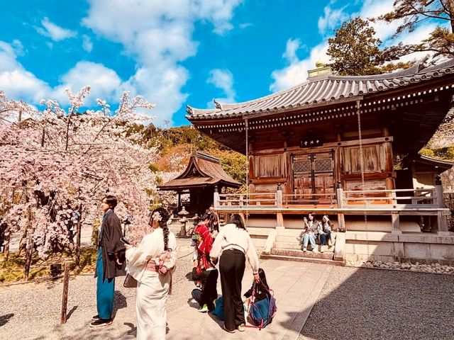 Discovering the Soul of Kyoto: A Journey Through Time and Tradition