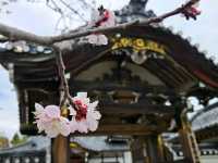 Into the Earth’s Breath – Exploring the Fiery Spirit of Noboribetsu
