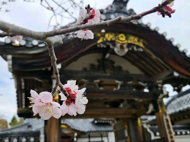 Into the Earth’s Breath – Exploring the Fiery Spirit of Noboribetsu