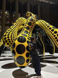 Trip to Melbourne
