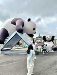 🇰🇷韓國必去愛寶樂園🐼把握近期旅展買一送一