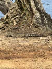 2 Days in Badulla – A Journey Through Nature and Culture