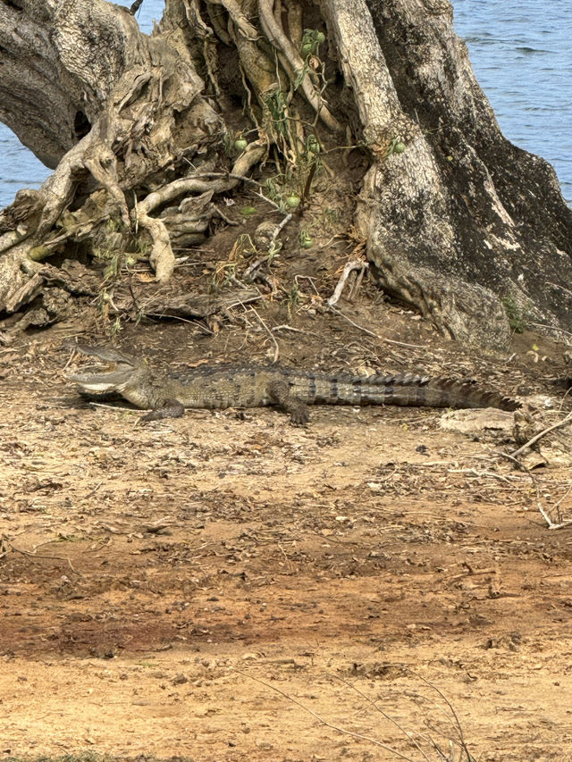 2 Days in Badulla – A Journey Through Nature and Culture