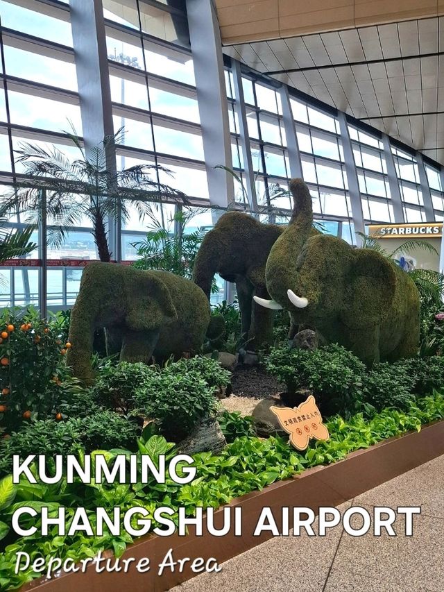 A NATURE MESSAGE FOR EVERY TRAVELLER IN KUNMING CHANGSHUI AIRPORT