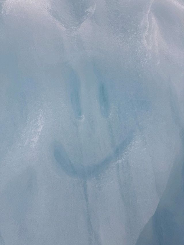 🇳🇿紐西蘭 必去福克斯冰川直升機徒步探險（Fox Glacier Heli Hike） 🚁