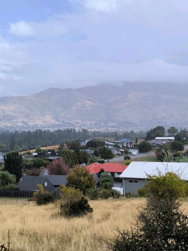 🇳🇿鈕西蘭 wanaka 4個必玩景點