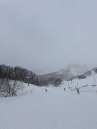 POWDER SNOW ❄️ 🏂