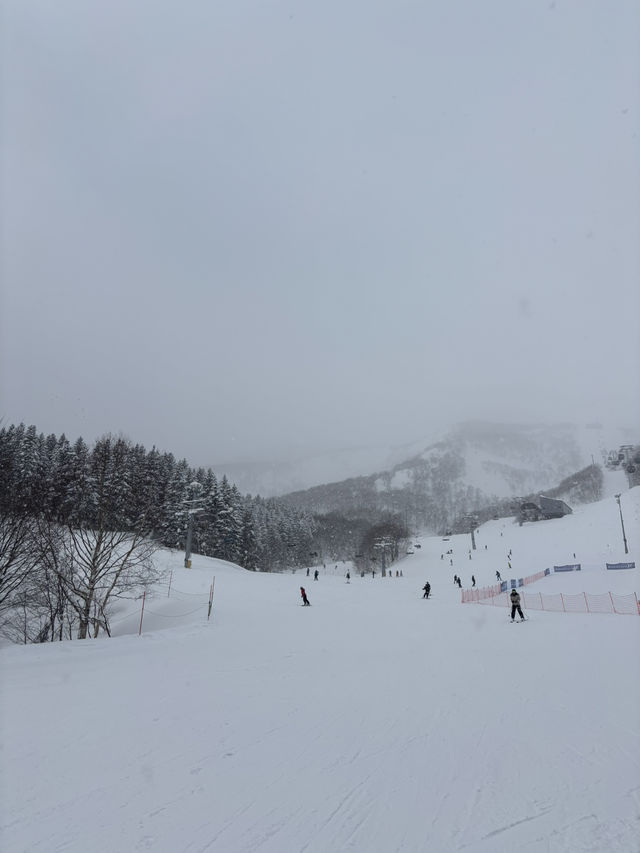 POWDER SNOW ❄️ 🏂
