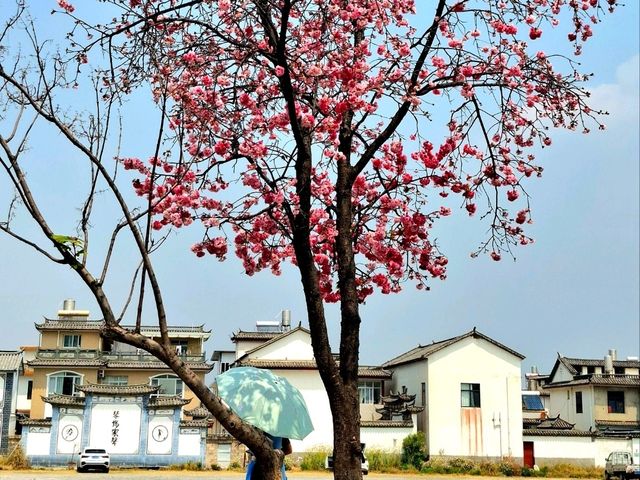 Xizhou Ancient Town