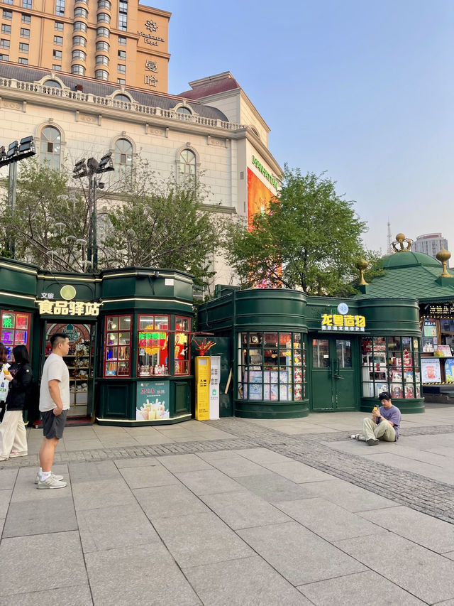 Spring in Harbin Hits Different 🧡