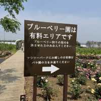 無料で楽しめるバラ園やアスレチック！