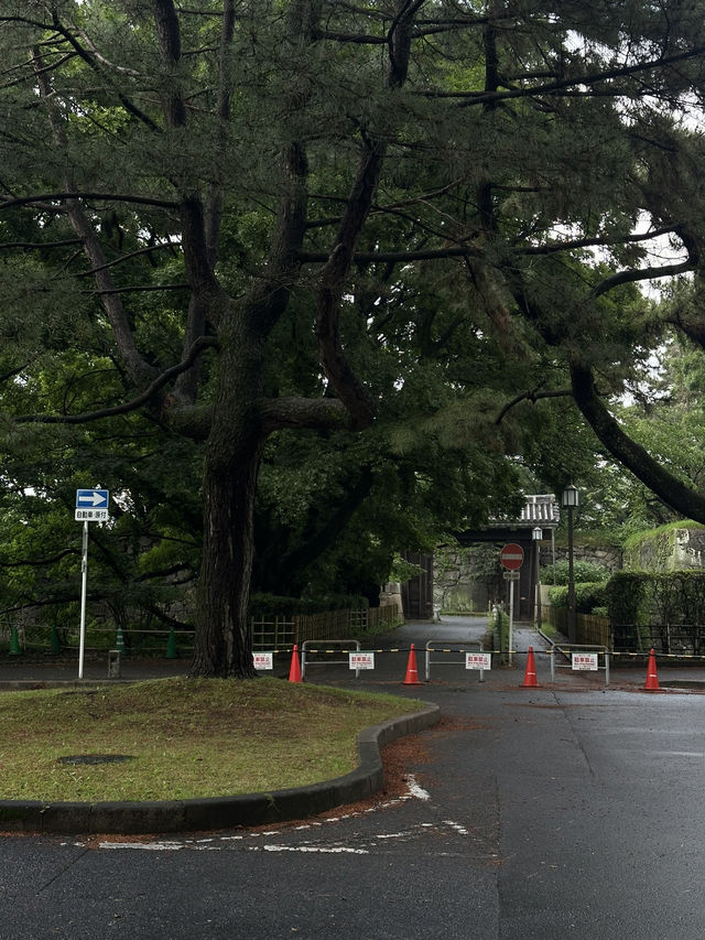 Nagoya Castle Park✨✨