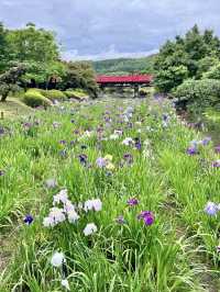 A Peaceful Day in Uwajima – Castles, Gardens & Hilltop Views