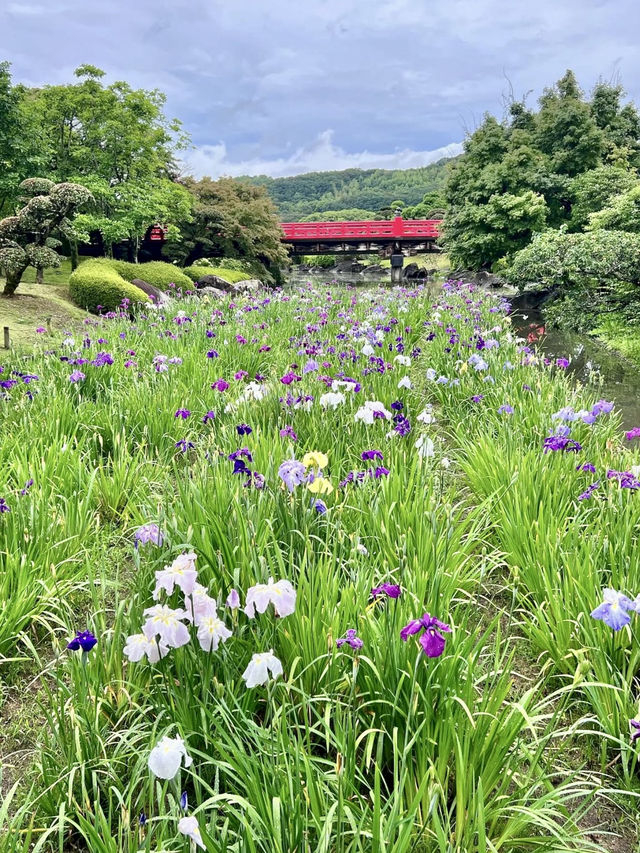 A Peaceful Day in Uwajima – Castles, Gardens & Hilltop Views