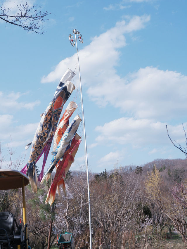 東海道新幹線：大阪去福島只需四小時
