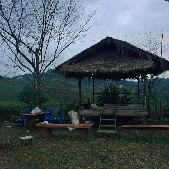 บ้านมณีพฤกษ์ ในหุบเขา ทุ่งช้าง จังหวัดน่าน