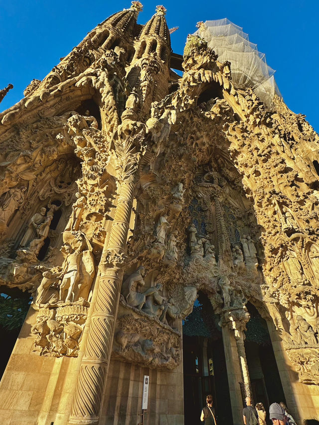 Awestruck by the Majesty of Sagrada Família ⛪️✨