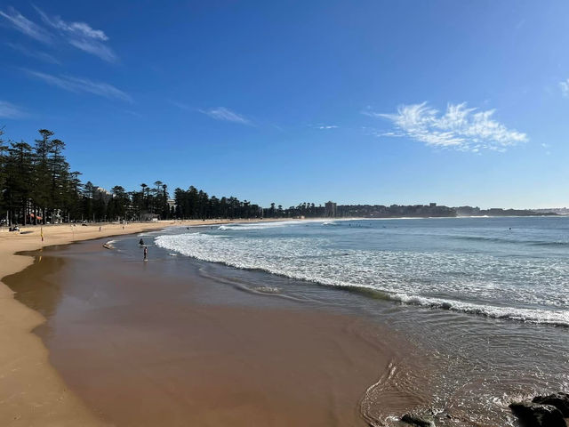 Manly to Shelly Beach – A Coastal Walk Worth Slowing Down For