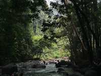 Who Still Doesn’t Know This Hidden Waterfall Near KL?