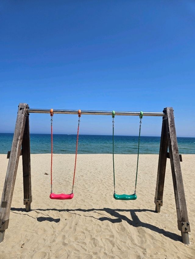 아름다운 바다와 그네가 있는 동호해변 완벽한 야외 데이트 장소입니다