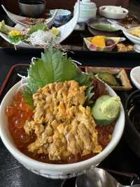 【山口旅行】海鮮が美味しすぎる🐟