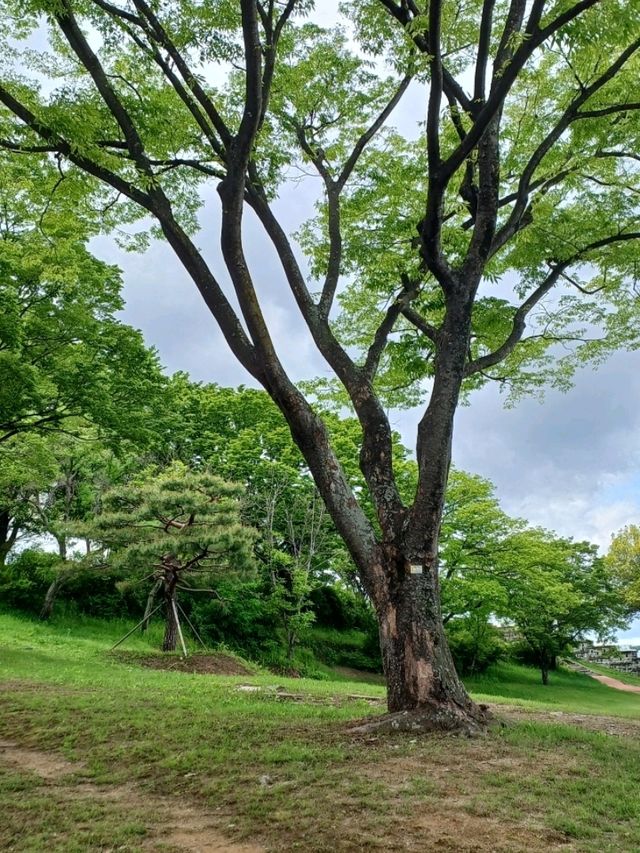 연인과 함께하기 좋은 조용한 성곽 산책길
