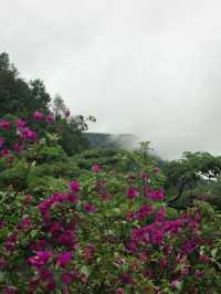 What to Expect in Heshun When It Rains: Food, Fog, and Friendly Hosts