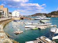 [🇯🇵尾道] 海風感じる尾道ぶらり散歩〜港町の風情と瀬戸内海の絶景を楽しむ