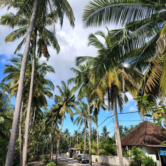 Spent some time in paradise