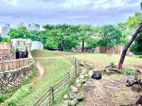 ［新竹旅遊］新竹市立動物園-親子共遊好去處🐒