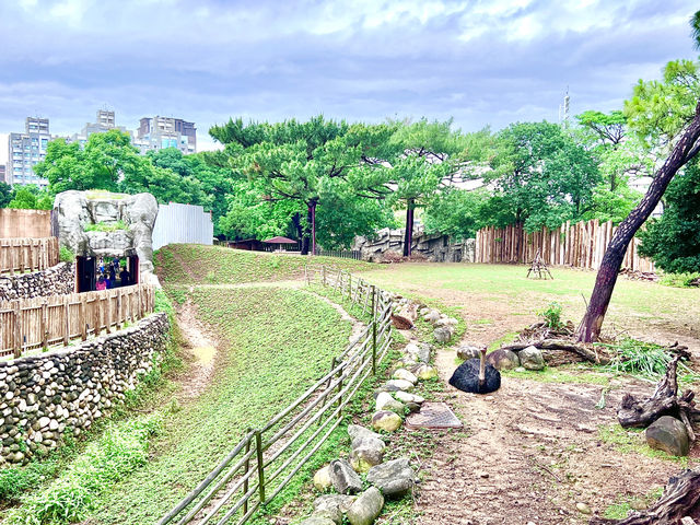［新竹旅遊］新竹市立動物園-親子共遊好去處🐒