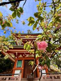 京都｜天狗守護的鞍馬山 三位一體尊天信仰造就鞍馬寺的獨特