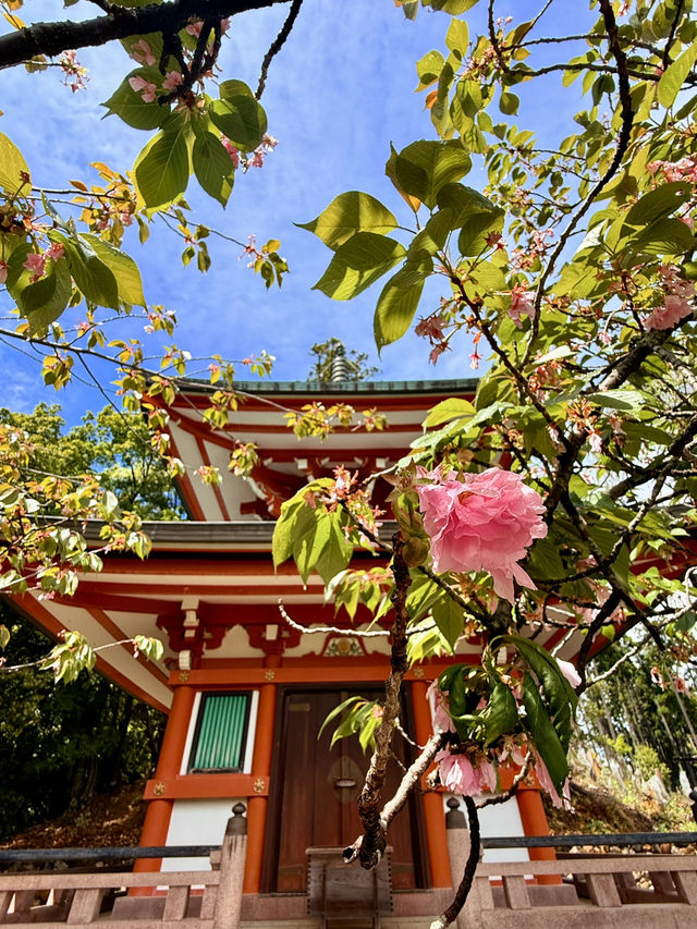 京都｜天狗守護的鞍馬山 三位一體尊天信仰造就鞍馬寺的獨特