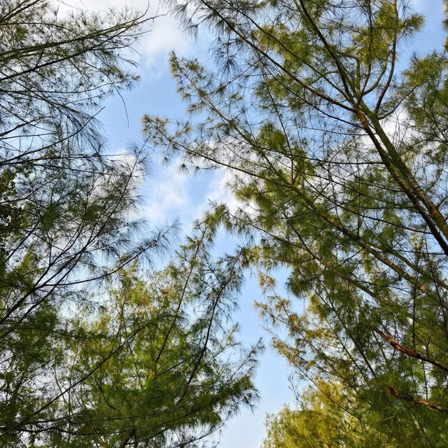 八鄉山 x 端陽山野
