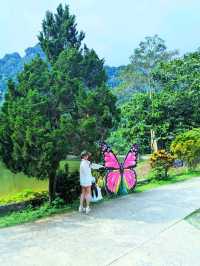 Butterfly Sanctuary Nestled in the North