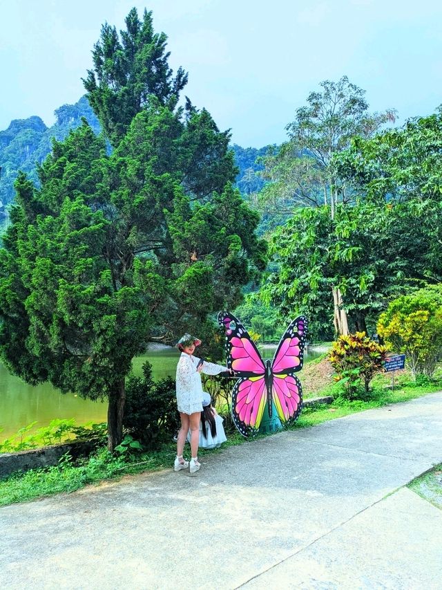 Butterfly Sanctuary Nestled in the North