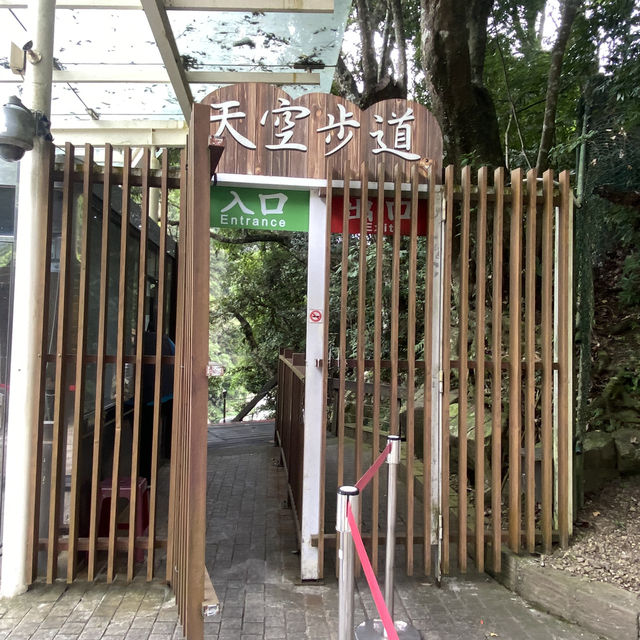 桃園一日輕旅行｜小烏來天空步道＆森林瀑布散步路線 🌲💧