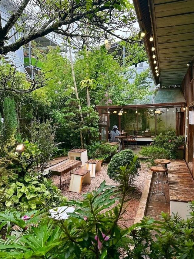 Still Cafe