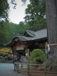 來富士山不能錯世外桃源的神社