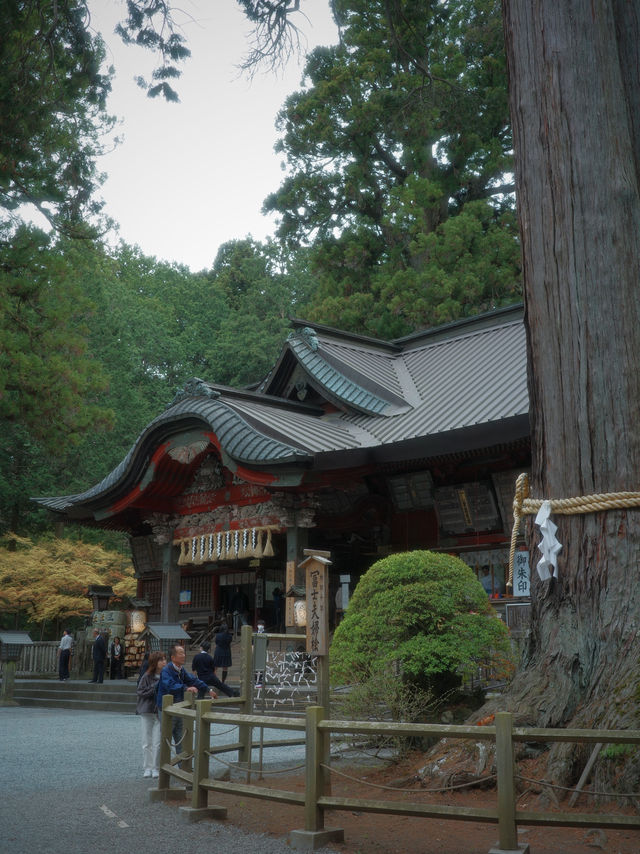 來富士山不能錯世外桃源的神社