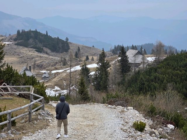 Velika planina