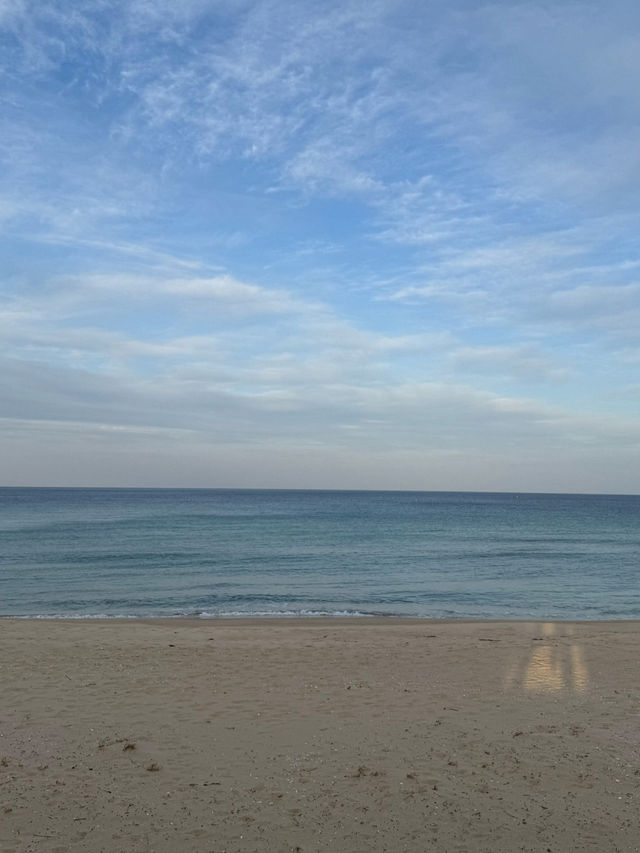 🏄‍♂️양양 남애항 맛집 야외카페 거북이서프바🪸