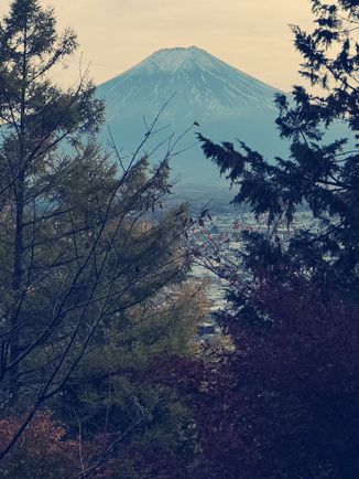 東京新倉山淺間公園購物攻略｜富士山腳下特色伴手禮精選