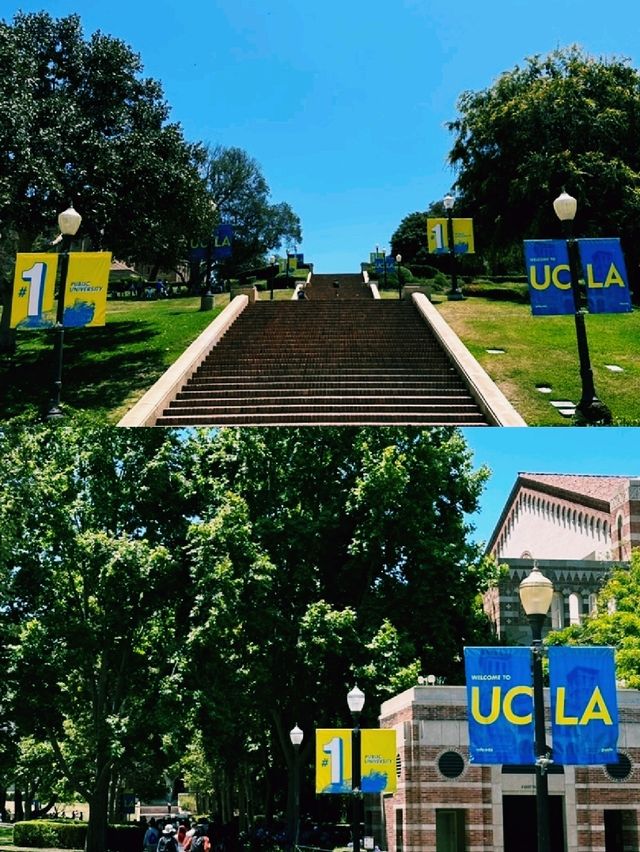 엘에이 감성 산책 – 할리우드 사인부터 베니스 비치까지, 그리고 인앤아웃과 UCLA