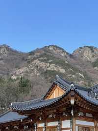 🌿 마음이 머무는 곳, 공주 학림사 오등성원